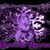Jean Nelson's profile image