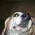 Debbie Vaughn's profile image