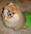 Kimberley Z.'s profile image