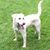 Debby Ledonne's profile image