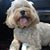 Barbara J. Hill's profile image