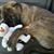 Dawn Flaherty's profile image