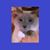 Linda Murray's profile image