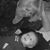 Susan Pollard's profile image