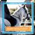 Marcia Lee Aulebach-Lagomarsino's profile image