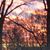 Bettina Culmone's profile image