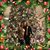 Eileen Corbett's profile image