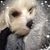 Griselda Ramirez-Mota's profile image