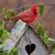 Steve E Longfellow's profile image
