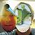 Matthew Sun Nielsen's profile image