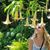 Carol Hansen's profile image