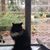 Claire Keene's profile image