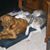 Christopher Scott Criswell's profile image