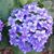 Donna Johnson Self's profile image