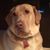 Debbie Wansack's profile image