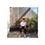Aom Attavit's profile image