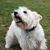 Marilyn A Biggerstaff's profile image