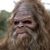 Dylan Pisarcik's profile image
