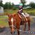 Crystal Clarke's profile image