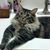 Betty Wilkinson's profile image