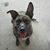Darla Lawrence's profile image