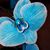 Christine Murphy's profile image