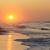 Andrea Blackbourne Wailes's profile image