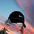 Rossi Ramirez's profile image