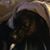 Philip J Ranaudo's profile image