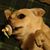 Alexander Neiman's profile image