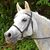 June Stephens's profile image