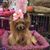 Barb Rorie King's profile image