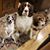 Beth Bettinger's profile image