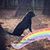 Erin Hunt's profile image