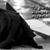 Xiomara Flores's profile image