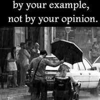 Connie M. Lallish's profile image