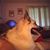 Michael Wood's profile image