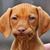 Roberta M. O'Connor's profile image