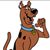 Doug Swatlowski's profile image