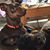 Anita K. Campbell's profile image