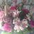 Patricia Nester's profile image