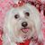 Beverly Burns's profile image