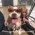 Julie Marchetti-Dailey's profile image