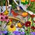Rebecca Natividad's profile image