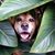 Angela Coriell's profile image
