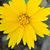 Susan Dingle's profile image