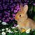 Cathy Dohrn's profile image