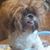 Dayanna Melgarejo Valencia's profile image