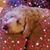 Maria Weaver's profile image
