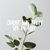 Karla Hoehn's profile image